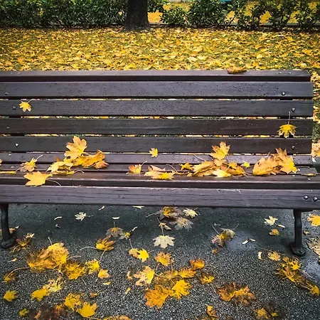 Apartment Center Spacious 2br Near Vitosha Blvd *